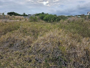 Residential Land