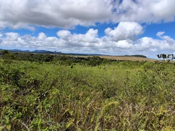 Terrain Agricole