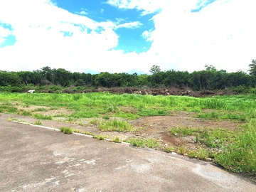 Terrain Commercial