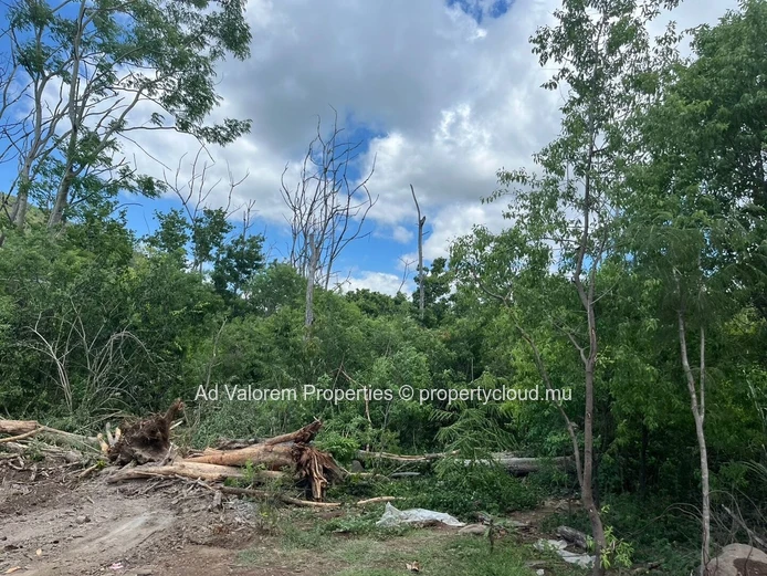 1,500m² Residential Land for Sale in Black River