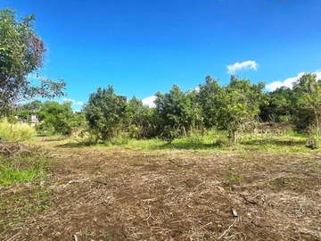 Agricultural Land