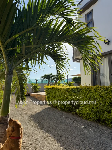 3-Bedroom Villa for Sale in Ruisseau Palmyre
