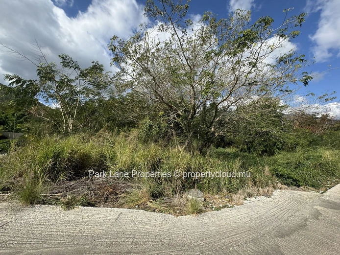 Discover your potential plot for project in Black River 