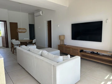 3 Bedroom Penthouse