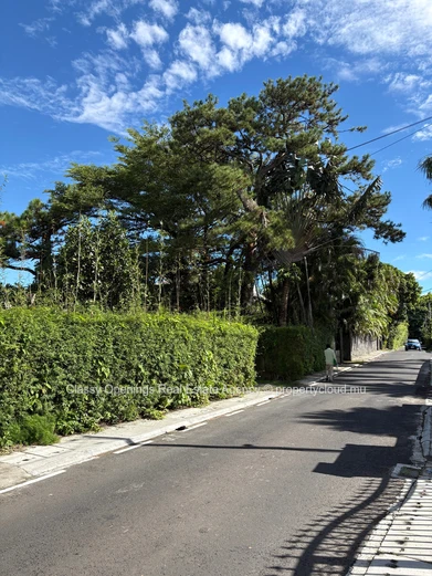 1,015 m² Corner Plot on Quiet Tree-Lined Street, Curepipe