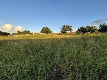 Land