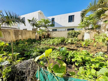 6 Bedroom House