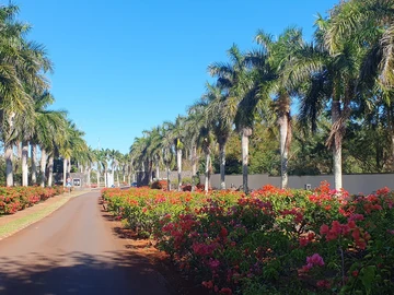 Residential Land
