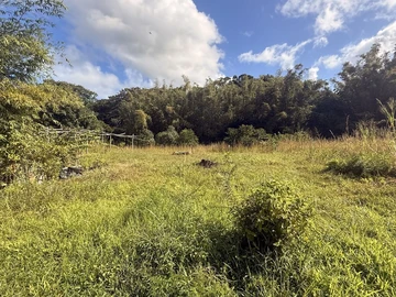 Agricultural Land