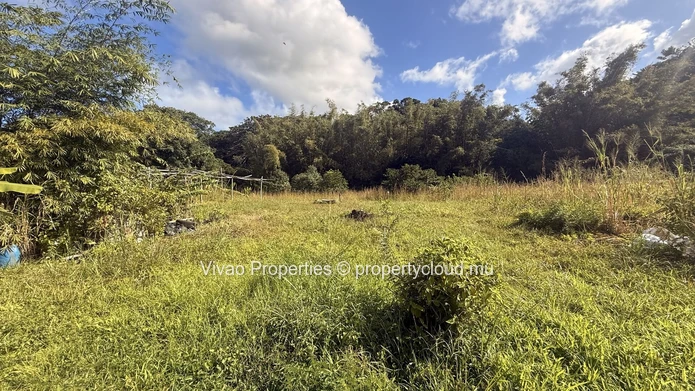 20,466sqm Prime Agricultural Land for Sale in L'Escalier - Rs