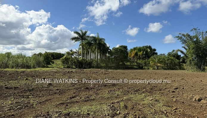 Terrain agricole exceptionnel à vendre – Deux Bras, île Maurice | 4 693 m²