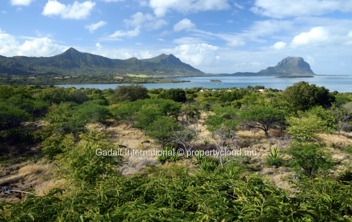 Luxurious, eco-friendly villas with tropical gardens in Black River, Mauritius