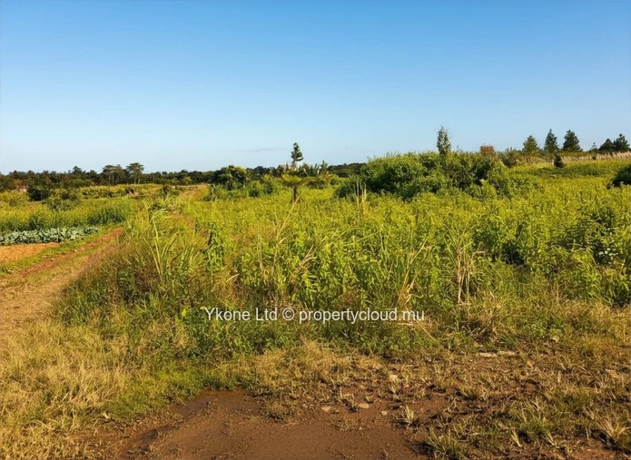 Agricultural Land For Sale In Quartier Militaire