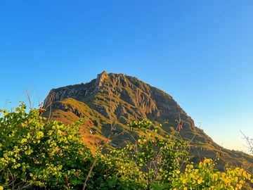Residential Land