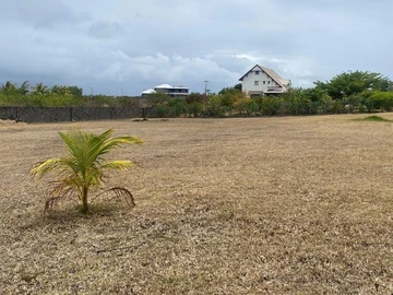 Land