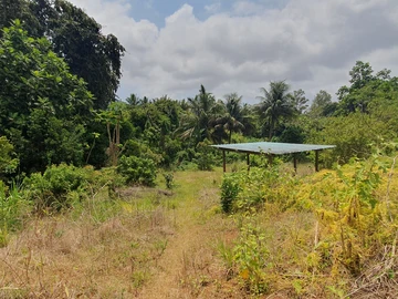 Commercial Land