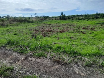 Land