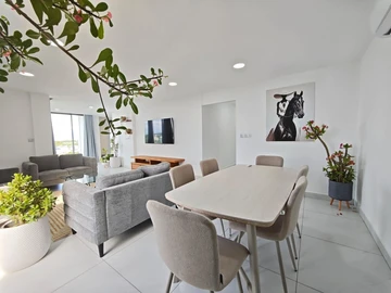 Penthouse de 3 Chambres