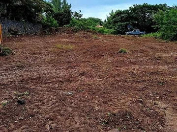 Land