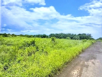 Agricultural Land