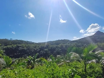 Agricultural Land