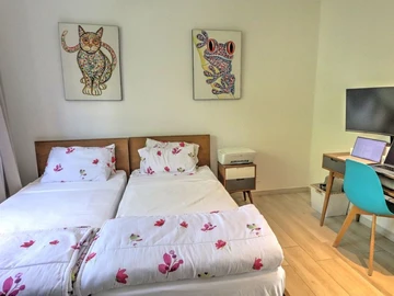 3 Bedroom Apartment