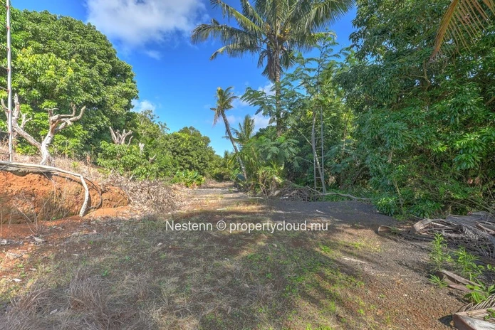 Spacious 275 m² house on a land of 13,802.67 m² in Chemin Grenier with sea and mountain views.