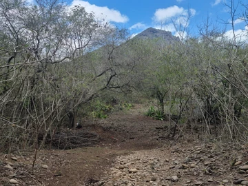 Residential Land