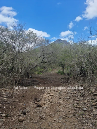 Terrain résidentiel en vente à Tamarin