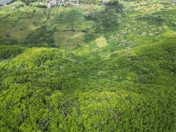 Terrain Agricole