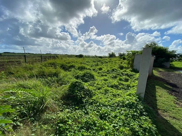 Residential Land