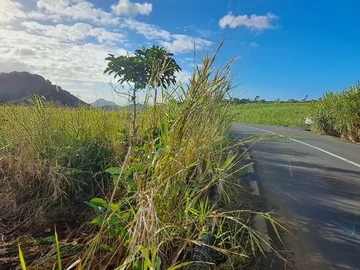 Agricultural Land