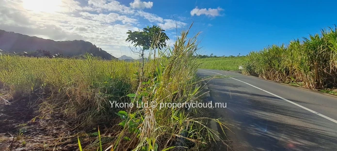 Agricultural Land For Sale In Cluny