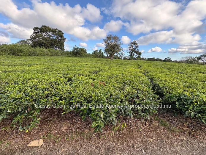 12,268 m² Cultivable Land with Mountain View & Greenhouses