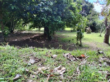 Residential Land
