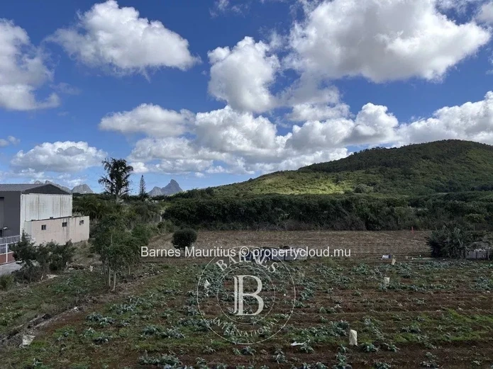 PHOENIX - Charming, brand-new 1-bedroom apartment for rent.