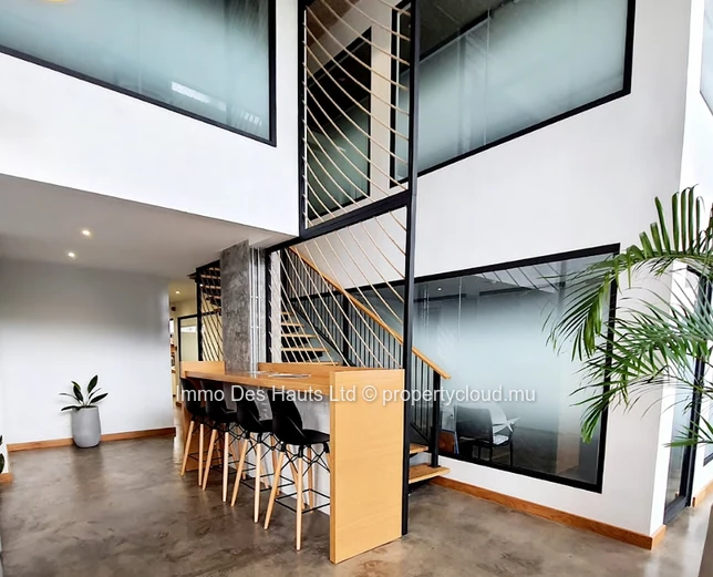 Office space for rent Pointe aux Canonniers 