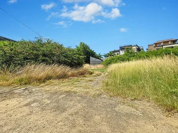 Land
