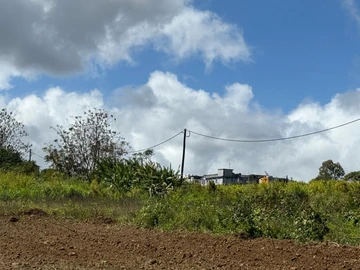 Agricultural Land