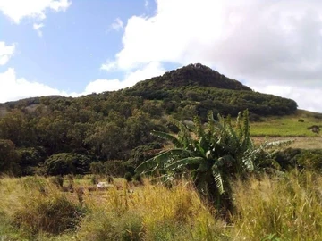 For sale agricultural land of 50 perches in Montagne Longue