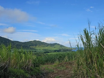 Terrain Agricole