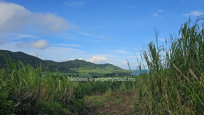 Agricultural Haven in valleys - 3 Arpents 55 perches of Pure Bliss