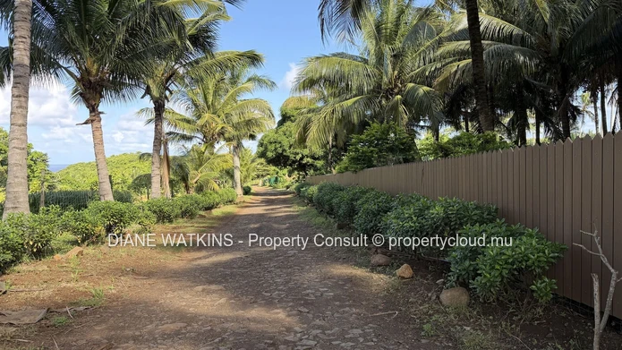 FOR SALE | 2,575 m² agricultural land in Baie du Cap with sea and mountain views