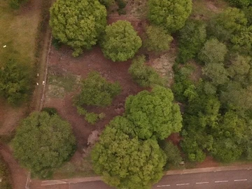 Land