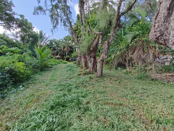 Residential Land