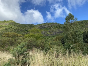 Land