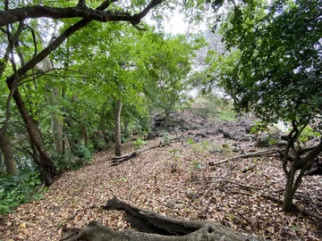 Residential Land