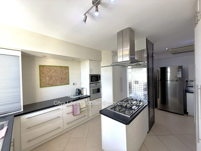 Ce spacieux et luxueux penthouse est désormais disponible à la vente !