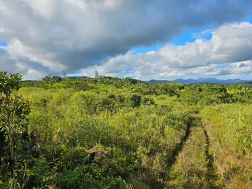 Agricultural Land