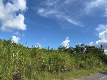 Terrain Commercial